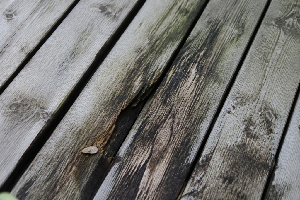 Planches bois affaissees avec moisissures visibles
