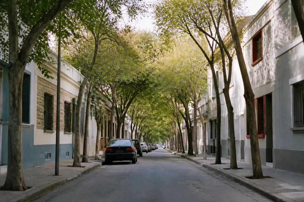 Rue calme avec immeubles bas et arbres alignés